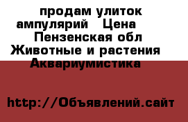 продам улиток ампулярий › Цена ­ 5 - Пензенская обл. Животные и растения » Аквариумистика   